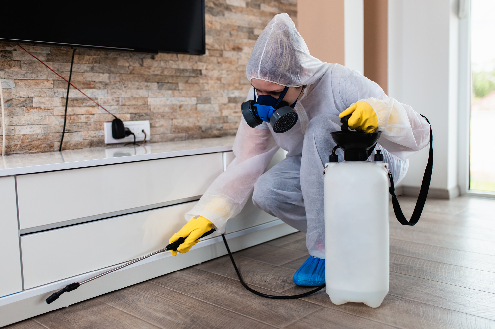 termite control services riyadh